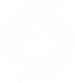 essenz.vision Logo